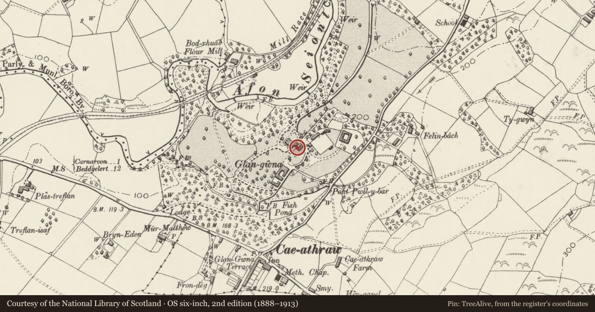 Ordnance Survey six-inch map, 2nd edition (1888–1913) covering the location of Terrace and retaining walls at Glan Gwna Hall, Waunfawr, Gwynedd, with a pin at the register's coordinates