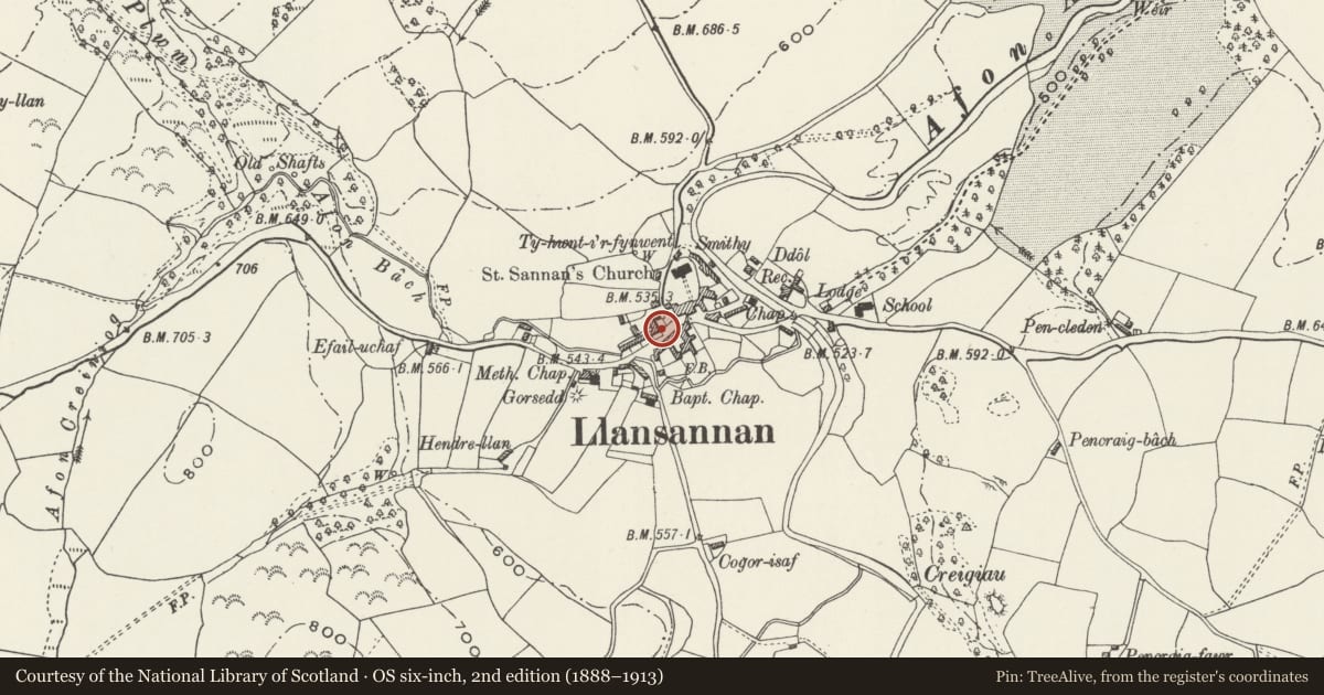 Ordnance Survey six-inch map, 2nd edition (1888–1913) covering the location of 'The Girl' Memorial Statue, Llansannan, Conwy, with a pin at the register's coordinates