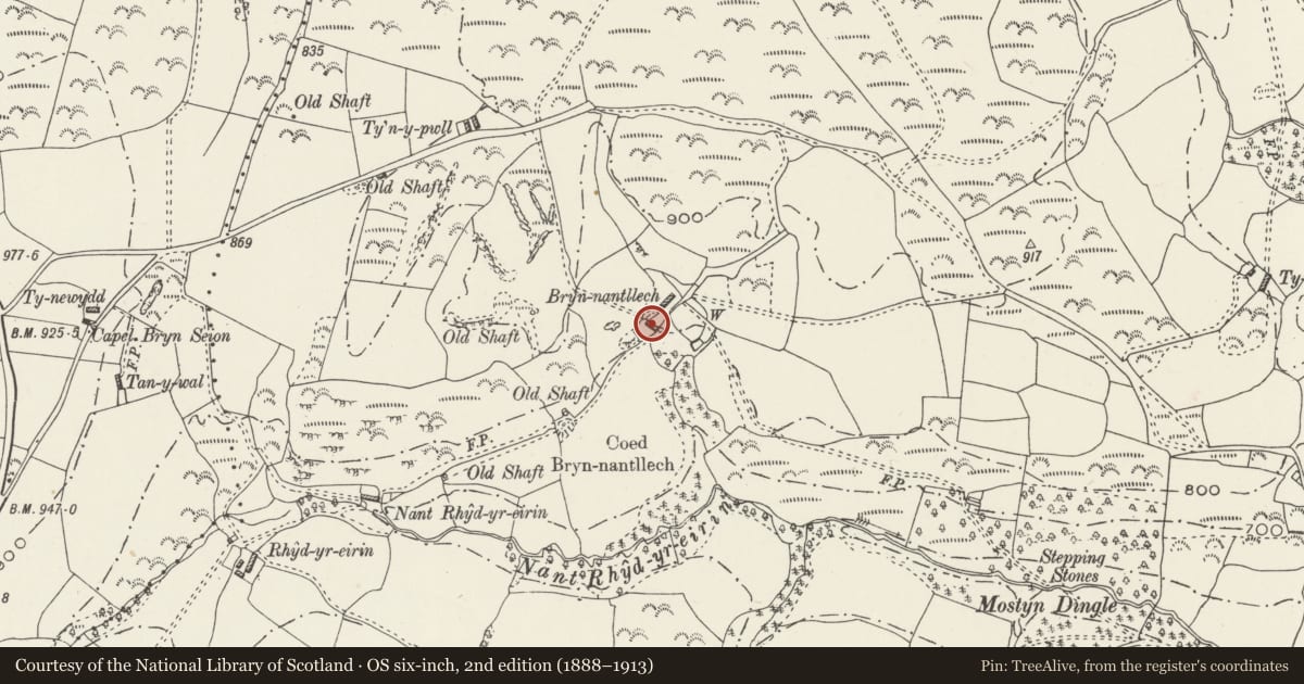 Ordnance Survey six-inch map, 2nd edition (1888–1913) covering the location of Former Cowhouse at Bryn Nantllech, Llansannan, Conwy, with a pin at the register's coordinates