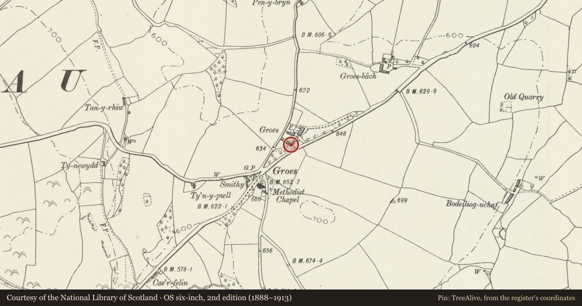Ordnance Survey six-inch map, 2nd edition (1888–1913) covering the location of Greenhouse at Groes Hall, Llansannan, Conwy, with a pin at the register's coordinates