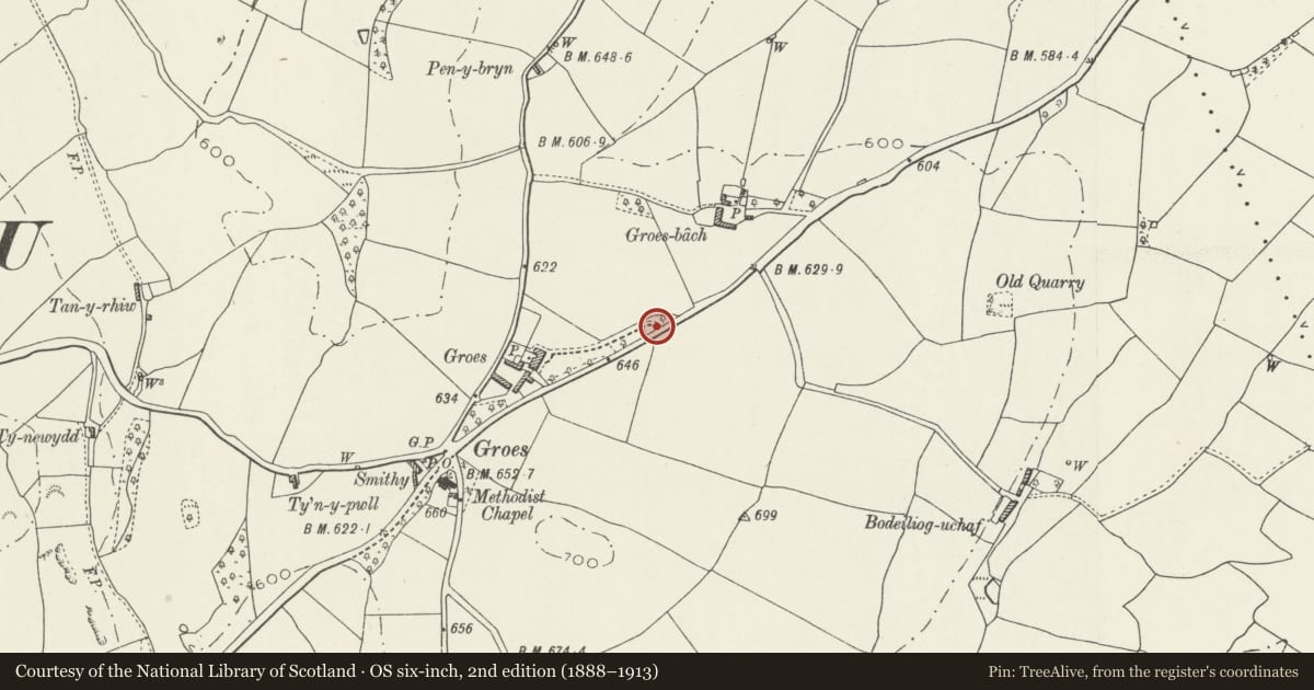 Ordnance Survey six-inch map, 2nd edition (1888–1913) covering the location of Entrance gates and walls to Groes Hall, Llansannan, Conwy, with a pin at the register's coordinates