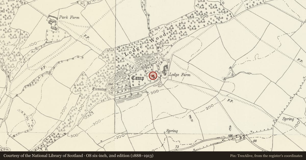 Ordnance Survey six-inch map, 2nd edition (1888–1913) covering the location of Derelict Cottage at Lodge Farm, Caerleon, Newport, with a pin at the register's coordinates