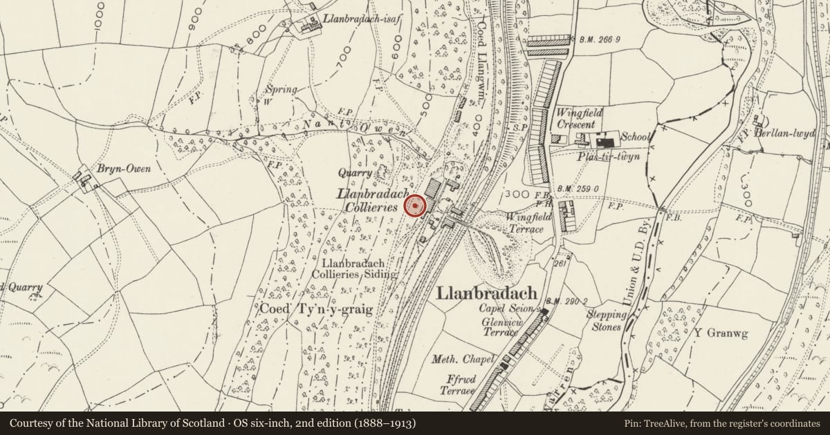 Ordnance Survey six-inch map, 2nd edition (1888–1913) covering the location of Former Llanbradach Colliery winding engine house, Llanbradach and Pwllypant, Caerphilly, with a pin at the register's coordinates