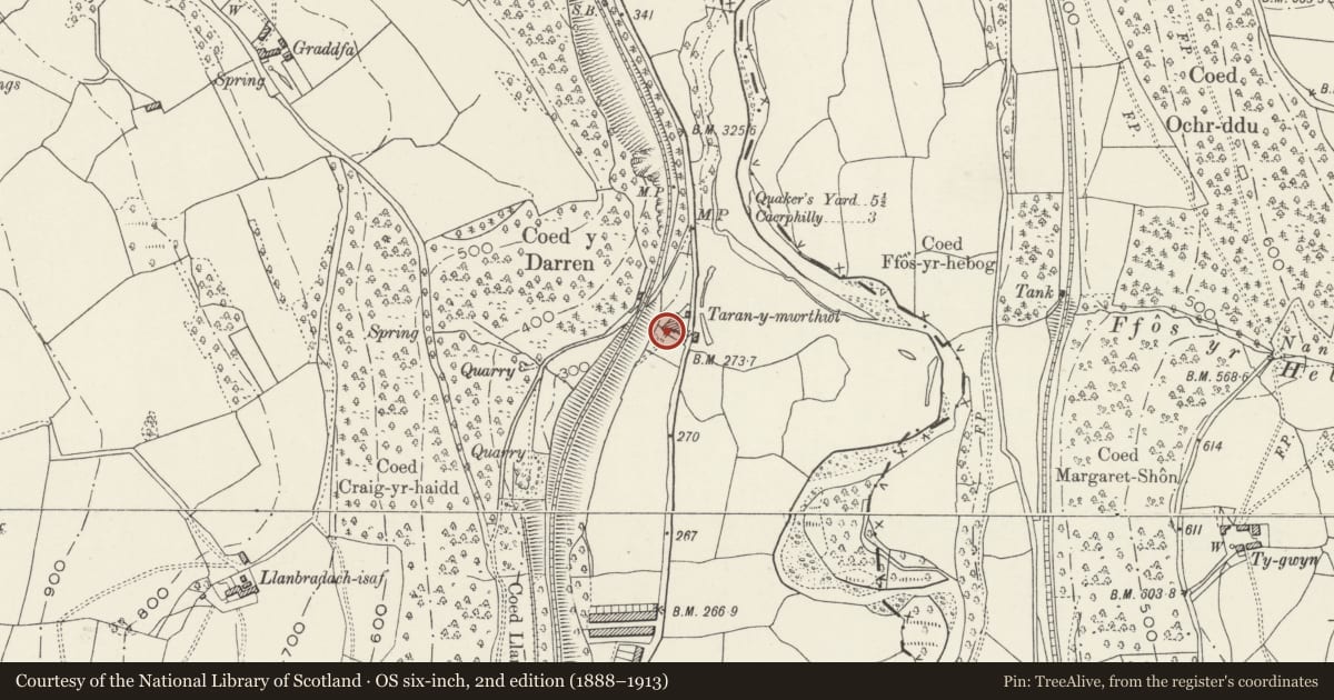 Ordnance Survey six-inch map, 2nd edition (1888–1913) covering the location of Taranymwrthwl Farm, Llanbradach and Pwllypant, Caerphilly, with a pin at the register's coordinates