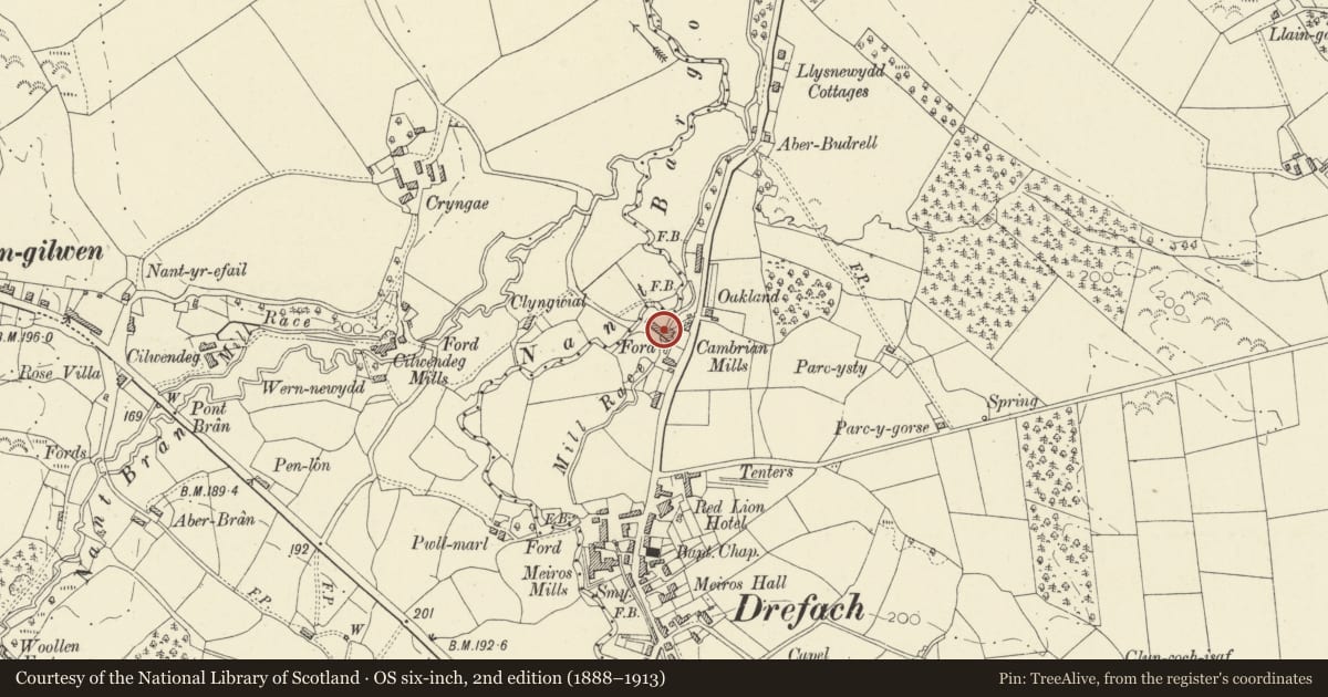 Ordnance Survey six-inch map, 2nd edition (1888–1913) covering the location of Main Mill Building at Museum of the Welsh Woollen Industry, Llangeler, Carmarthenshire, with a pin at the register's coordinates