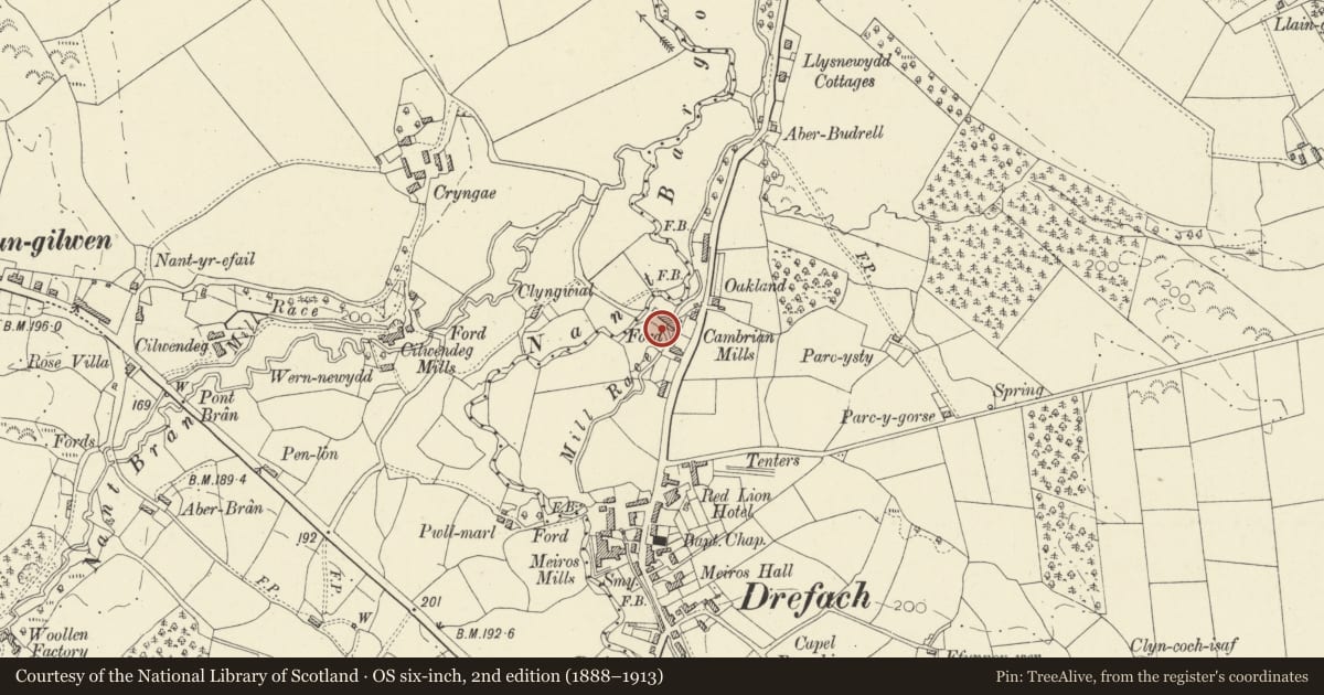 Ordnance Survey six-inch map, 2nd edition (1888–1913) covering the location of Weaving Shed at Museum of Welsh Woollen Industry, Llangeler, Carmarthenshire, with a pin at the register's coordinates