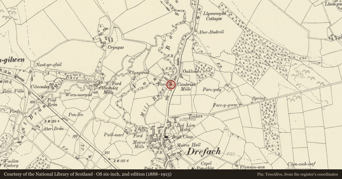 Ordnance Survey six-inch map, 2nd edition (1888–1913) covering the location of Ty Pen Pownd at Museum of Welsh Woollen Industry, Llangeler, Carmarthenshire, with a pin at the register's coordinates