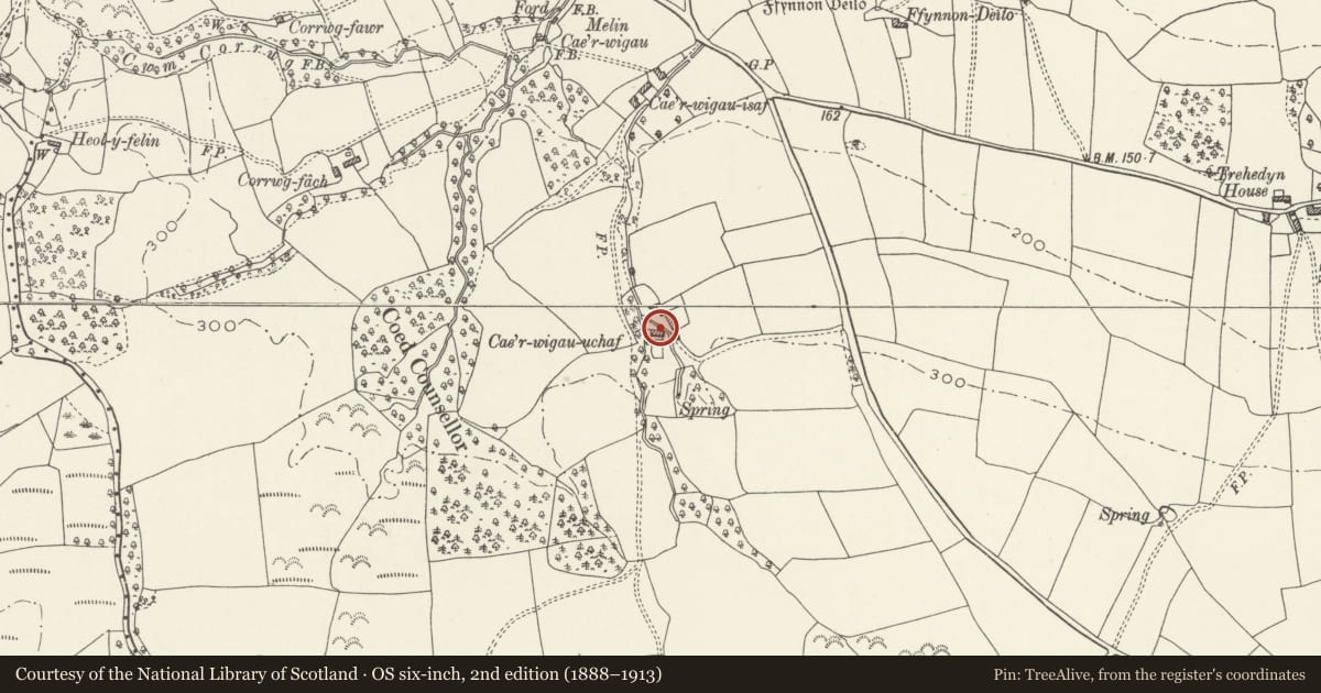 Ordnance Survey six-inch map, 2nd edition (1888–1913) covering the location of Cae'rwigau Uchaf, Pendoylan, Vale of Glamorgan, with a pin at the register's coordinates