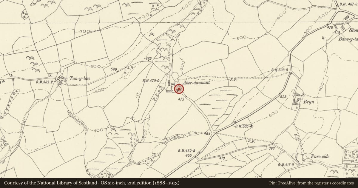Ordnance Survey six-inch map, 2nd edition (1888–1913) covering the location of Former tannery at Aberdeunant, Llansadwrn, Carmarthenshire, with a pin at the register's coordinates
