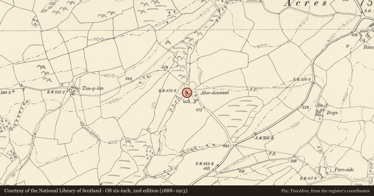 Ordnance Survey six-inch map, 2nd edition (1888–1913) covering the location of Outbuilding to W of farmhouse at Aberdeunant, Llansadwrn, Carmarthenshire, with a pin at the register's coordinates