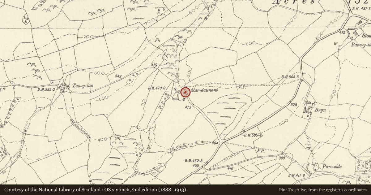 Ordnance Survey six-inch map, 2nd edition (1888–1913) covering the location of Open-bay shed at Aberdeunant, Llansadwrn, Carmarthenshire, with a pin at the register's coordinates