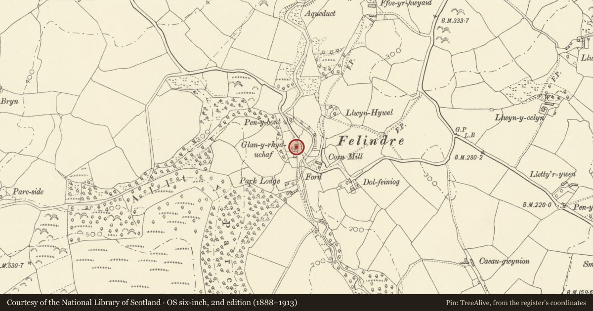 Ordnance Survey six-inch map, 2nd edition (1888–1913) covering the location of Glanyrhyd, Llansadwrn, Carmarthenshire, with a pin at the register's coordinates
