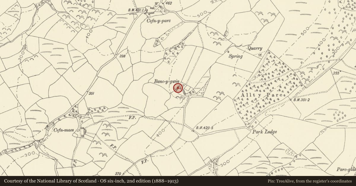 Ordnance Survey six-inch map, 2nd edition (1888–1913) covering the location of Bancygwin, Llansadwrn, Carmarthenshire, with a pin at the register's coordinates