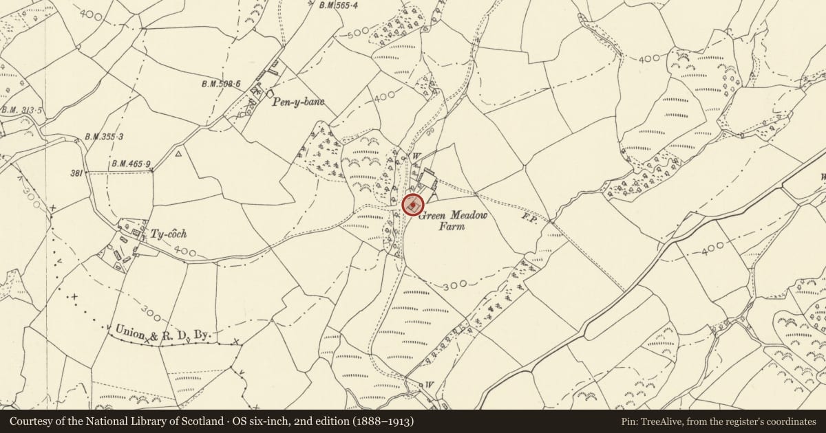 Ordnance Survey six-inch map, 2nd edition (1888–1913) covering the location of Green Meadow, Llansadwrn, Carmarthenshire, with a pin at the register's coordinates