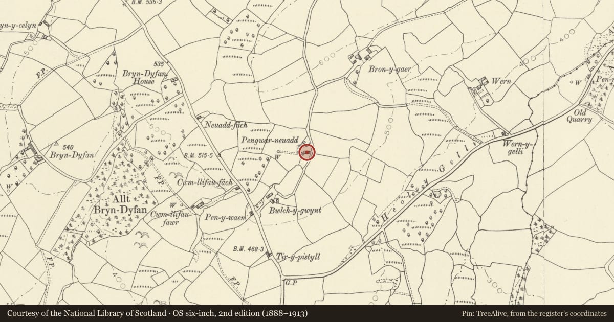 Ordnance Survey six-inch map, 2nd edition (1888–1913) covering the location of Pengwar-neuadd, Llansadwrn, Carmarthenshire, with a pin at the register's coordinates