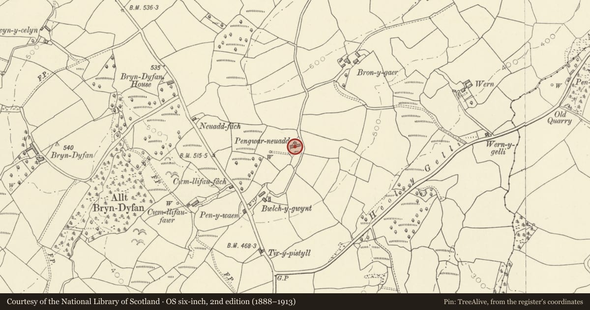 Ordnance Survey six-inch map, 2nd edition (1888–1913) covering the location of Barn N of Pengwar-neuadd, Llansadwrn, Carmarthenshire, with a pin at the register's coordinates