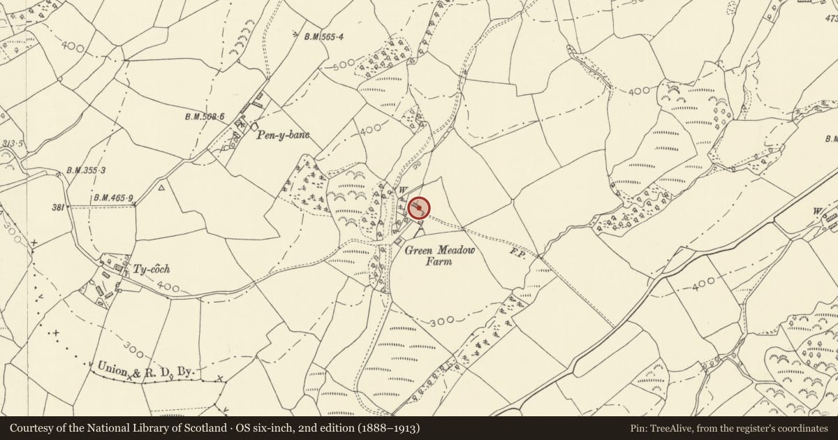 Ordnance Survey six-inch map, 2nd edition (1888–1913) covering the location of Barn at Green Meadow, Llansadwrn, Carmarthenshire, with a pin at the register's coordinates