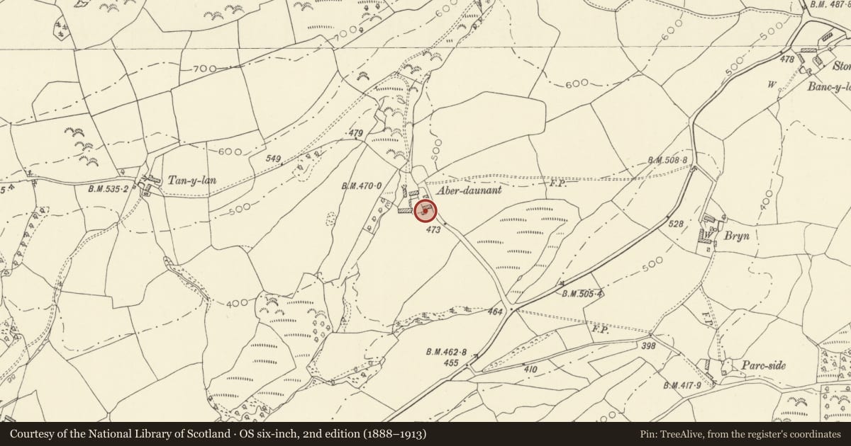 Ordnance Survey six-inch map, 2nd edition (1888–1913) covering the location of Cottage to SW of tannery at Aberdeunant, Llansadwrn, Carmarthenshire, with a pin at the register's coordinates
