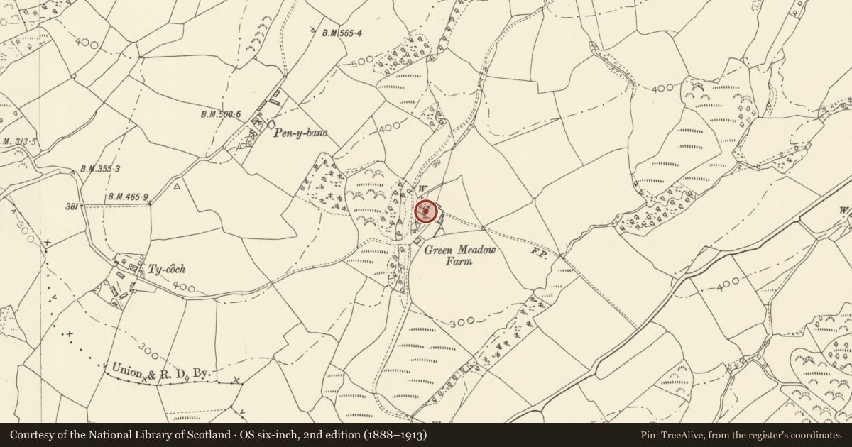 Ordnance Survey six-inch map, 2nd edition (1888–1913) covering the location of Lofted stable at Green Meadow, Llansadwrn, Carmarthenshire, with a pin at the register's coordinates