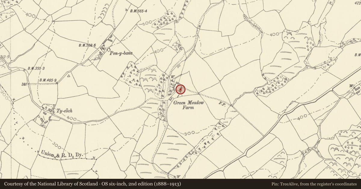 Ordnance Survey six-inch map, 2nd edition (1888–1913) covering the location of Cow-house at Green Meadow, Llansadwrn, Carmarthenshire, with a pin at the register's coordinates