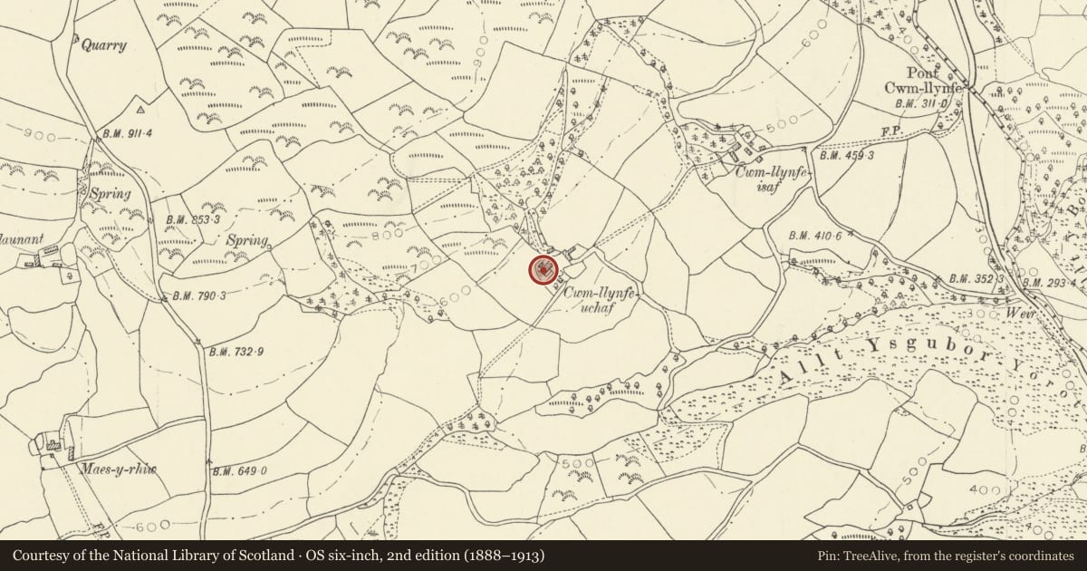Ordnance Survey six-inch map, 2nd edition (1888–1913) covering the location of Cwm Llynfe Uchaf, Llansadwrn, Carmarthenshire, with a pin at the register's coordinates