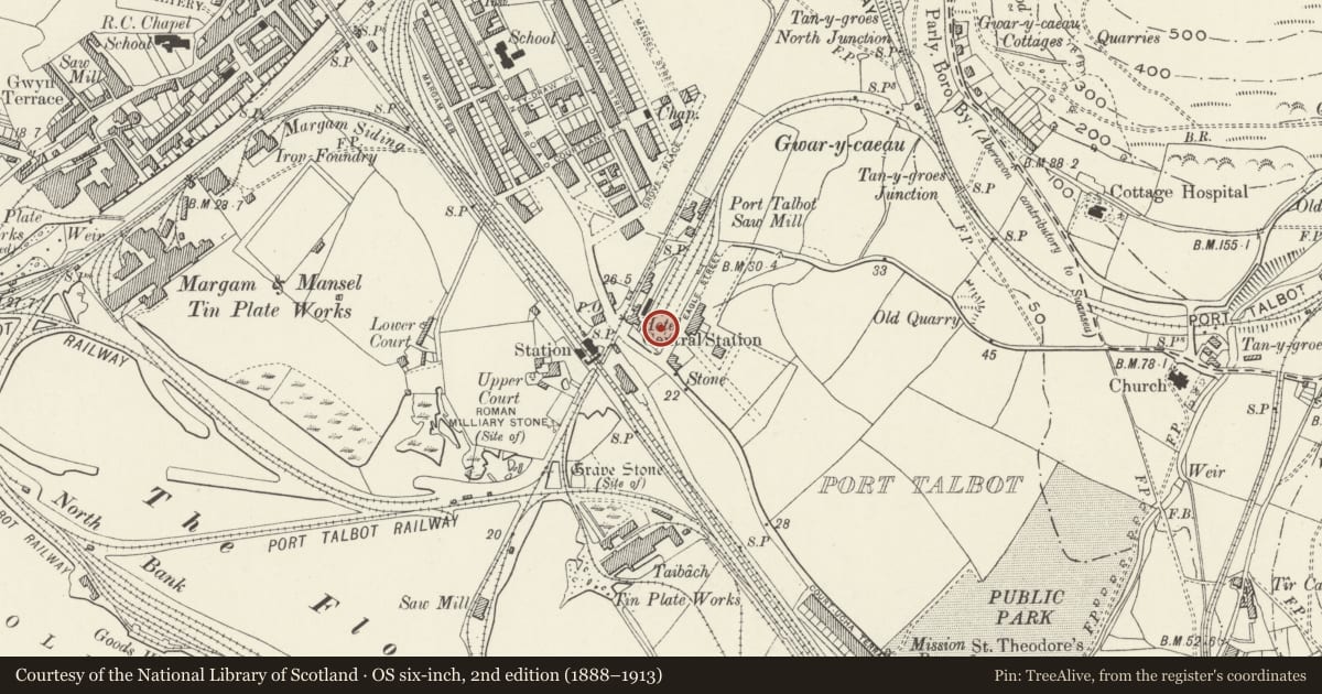 Ordnance Survey six-inch map, 2nd edition (1888–1913) covering the location of Plaza Cinema, Port Talbot, Neath Port Talbot, with a pin at the register's coordinates