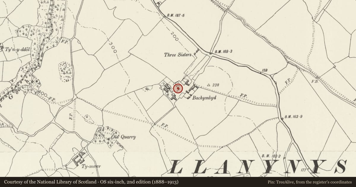 Ordnance Survey six-inch map, 2nd edition (1888–1913) covering the location of Garden Walls and Well House at Bachymbyd Fawr, Llanynys, Denbighshire, with a pin at the register's coordinates