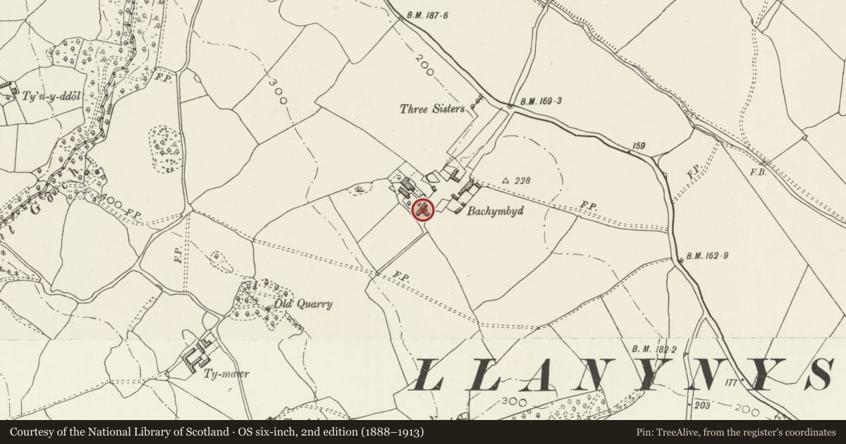 Ordnance Survey six-inch map, 2nd edition (1888–1913) covering the location of T-shaped Agricultural Range at Bachymbyd Fawr, Llanynys, Denbighshire, with a pin at the register's coordinates