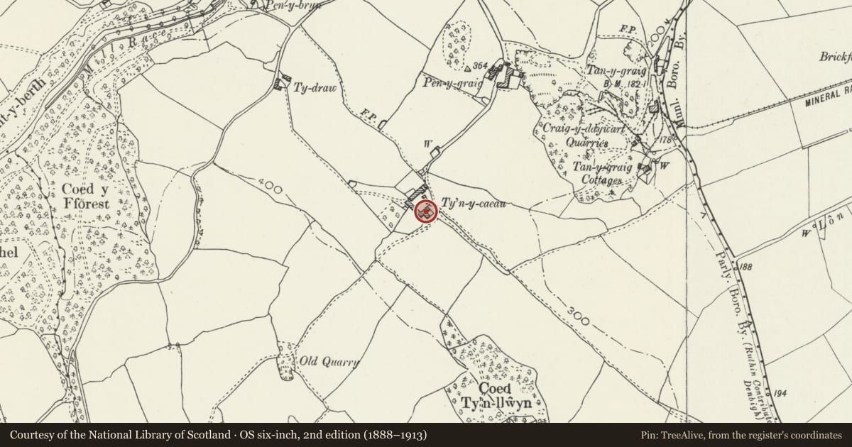 Ordnance Survey six-inch map, 2nd edition (1888–1913) covering the location of Ty'n-y-Caeau including adjoining Agricultural Range, Llanynys, Denbighshire, with a pin at the register's coordinates