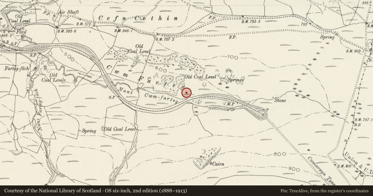 Ordnance Survey six-inch map, 2nd edition (1888–1913) covering the location of Kiln block at former Bryn Brickworks, Neath Port Talbot, with a pin at the register's coordinates