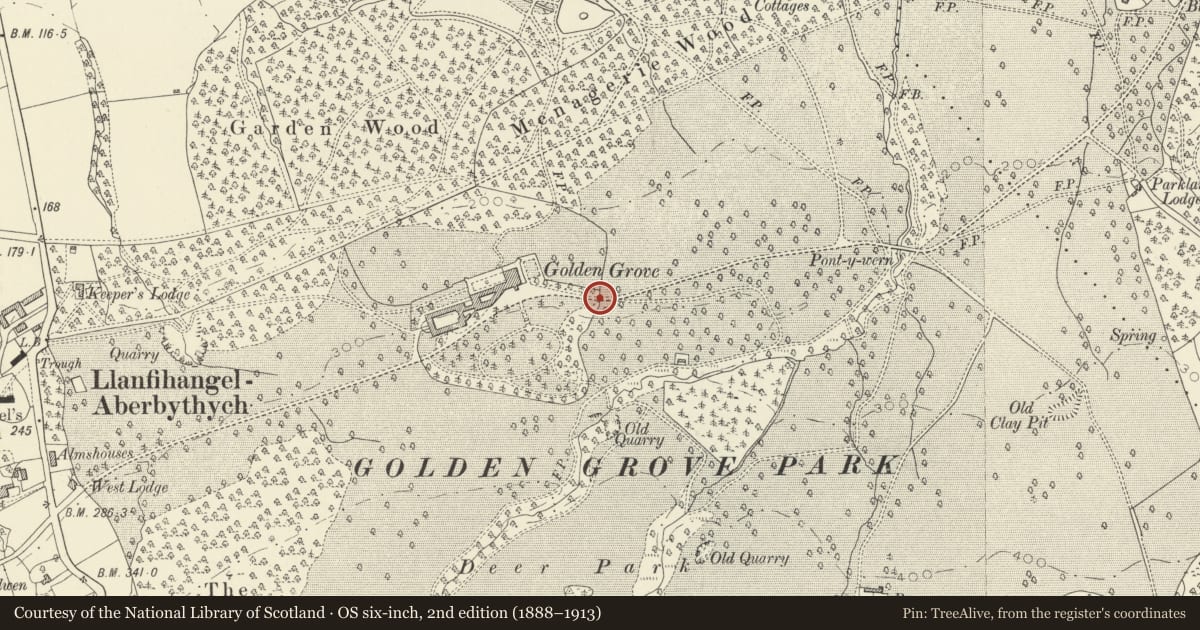 Ordnance Survey six-inch map, 2nd edition (1888–1913) covering the location of Golden Grove Inner East Gate, Llanfihangel Aberbythych, Carmarthenshire, with a pin at the register's coordinates