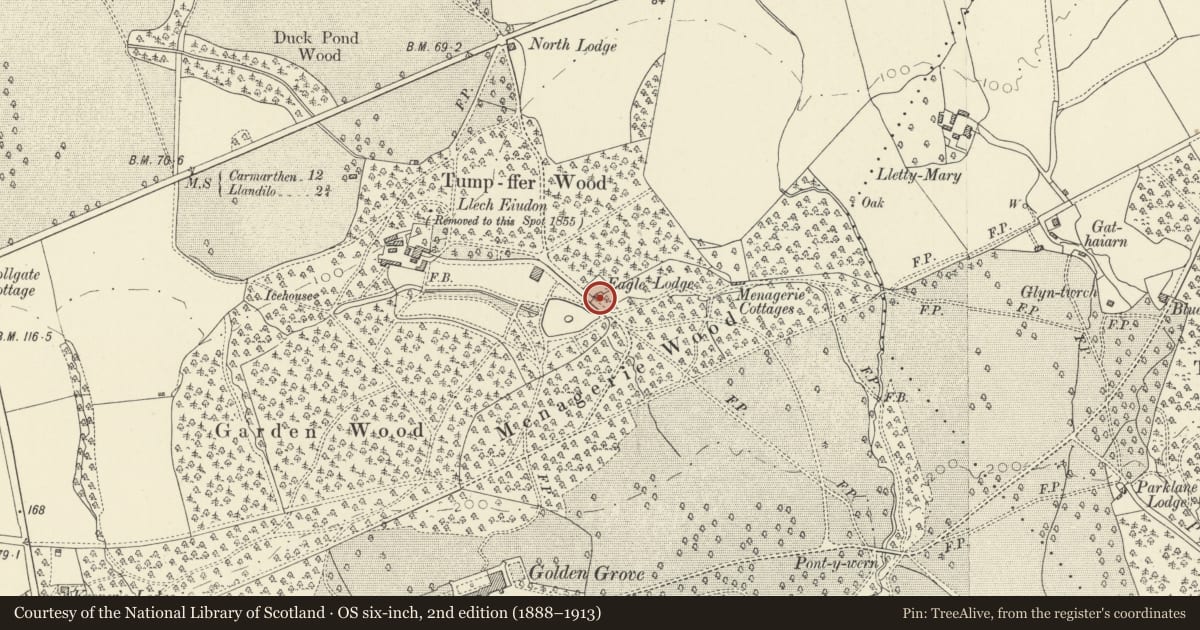 Ordnance Survey six-inch map, 2nd edition (1888–1913) covering the location of Eagle Lodge, Llanfihangel Aberbythych, Carmarthenshire, with a pin at the register's coordinates