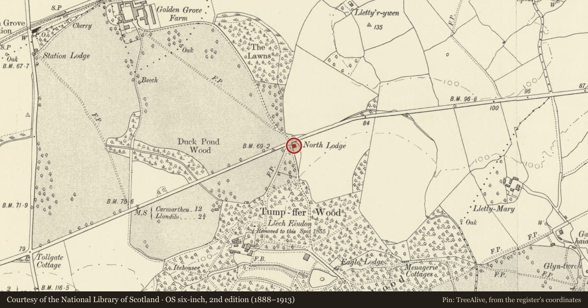 Ordnance Survey six-inch map, 2nd edition (1888–1913) covering the location of North Lodge, Llanfihangel Aberbythych, Carmarthenshire, with a pin at the register's coordinates