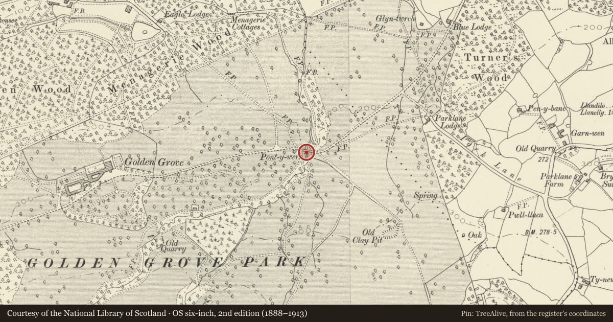 Ordnance Survey six-inch map, 2nd edition (1888–1913) covering the location of Pont-y-wern, Llanfihangel Aberbythych, Carmarthenshire, with a pin at the register's coordinates
