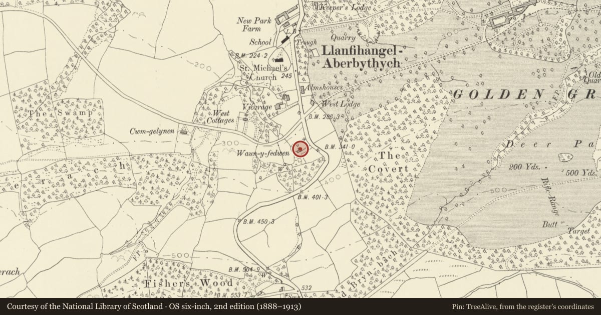 Ordnance Survey six-inch map, 2nd edition (1888–1913) covering the location of Waun-y-fedwen, Llanfihangel Aberbythych, Carmarthenshire, with a pin at the register's coordinates