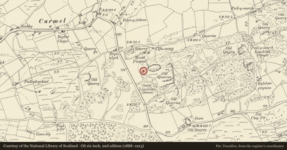 Ordnance Survey six-inch map, 2nd edition (1888–1913) covering the location of Garn Limekiln No. I (northernmost in group), Llanfihangel Aberbythych, Carmarthenshire, with a pin at the register's coordinates