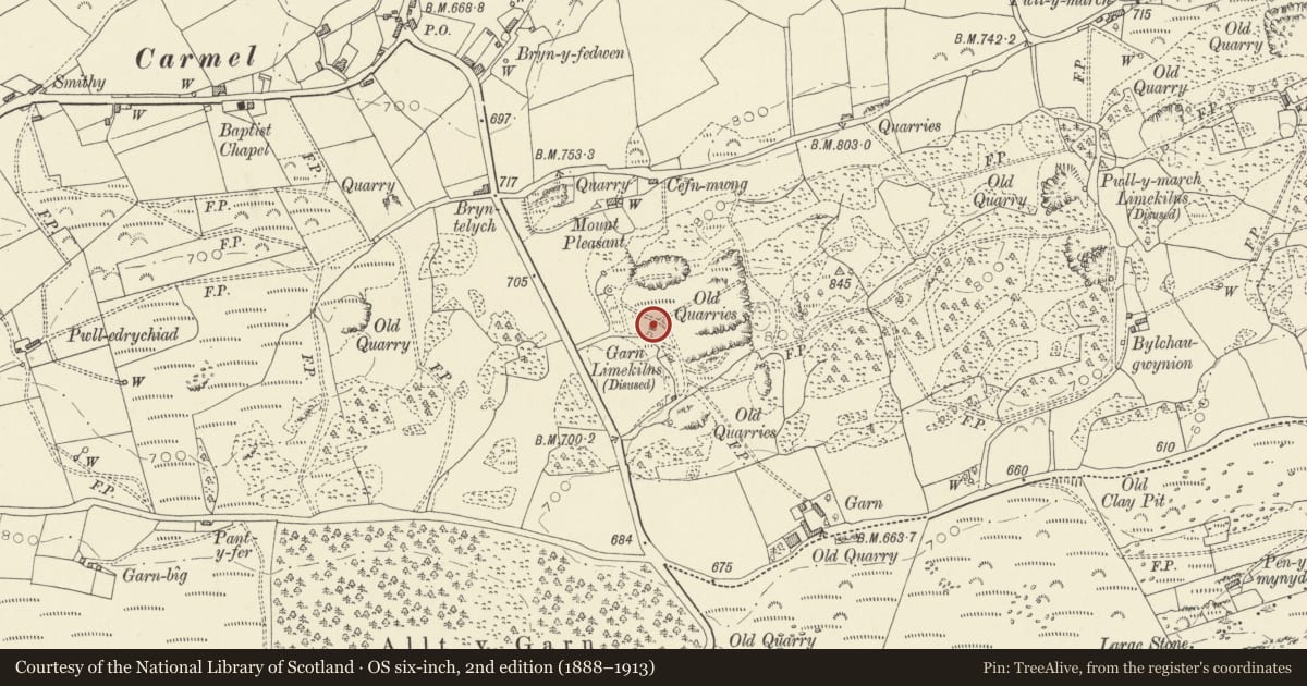 Ordnance Survey six-inch map, 2nd edition (1888–1913) covering the location of Garn Limekiln No. II (2nd from north in group), Llanfihangel Aberbythych, Carmarthenshire, with a pin at the register's coordinates