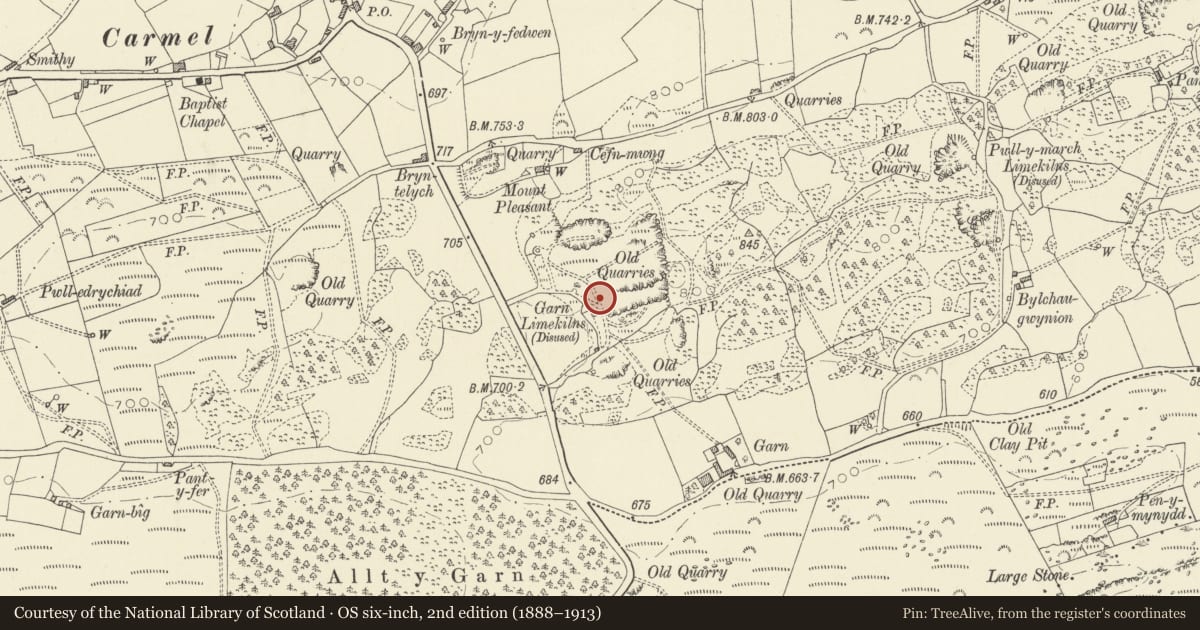 Ordnance Survey six-inch map, 2nd edition (1888–1913) covering the location of Garn Limekiln No. III (3rd from north in group), Llanfihangel Aberbythych, Carmarthenshire, with a pin at the register's coordinates