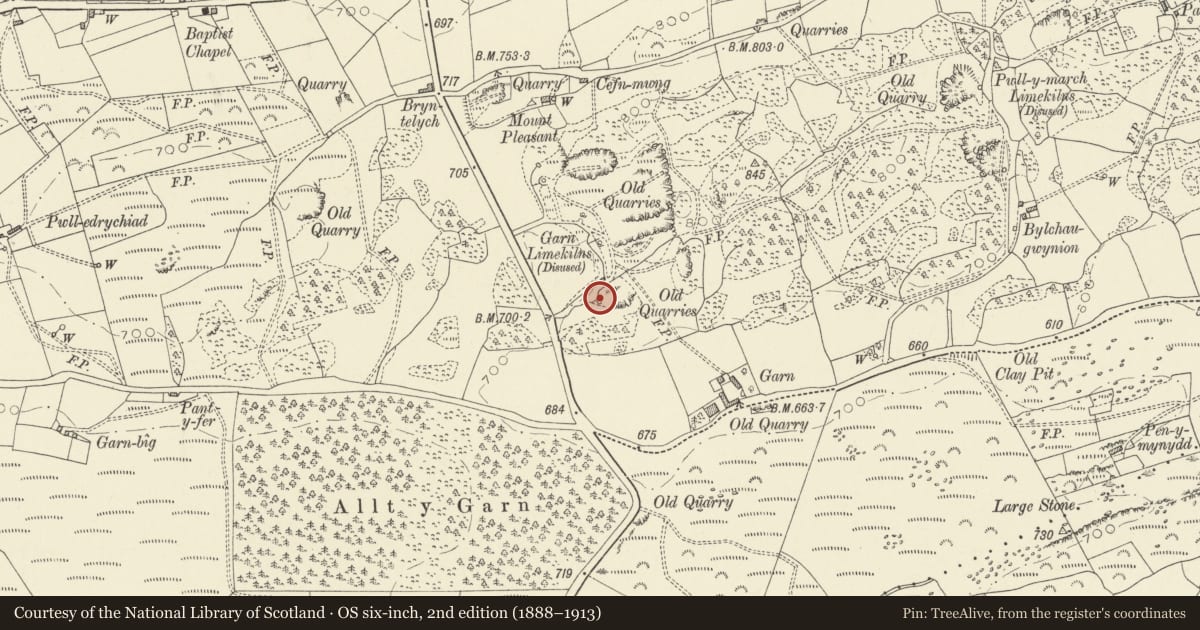 Ordnance Survey six-inch map, 2nd edition (1888–1913) covering the location of Garn Limekiln No. IV (southernmost in group), Llanfihangel Aberbythych, Carmarthenshire, with a pin at the register's coordinates