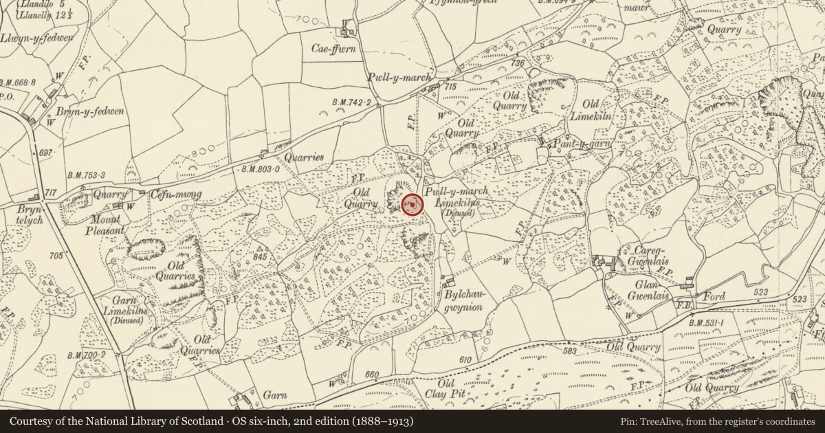 Ordnance Survey six-inch map, 2nd edition (1888–1913) covering the location of Pwll-y-march Limekilns, Llanfihangel Aberbythych, Carmarthenshire, with a pin at the register's coordinates