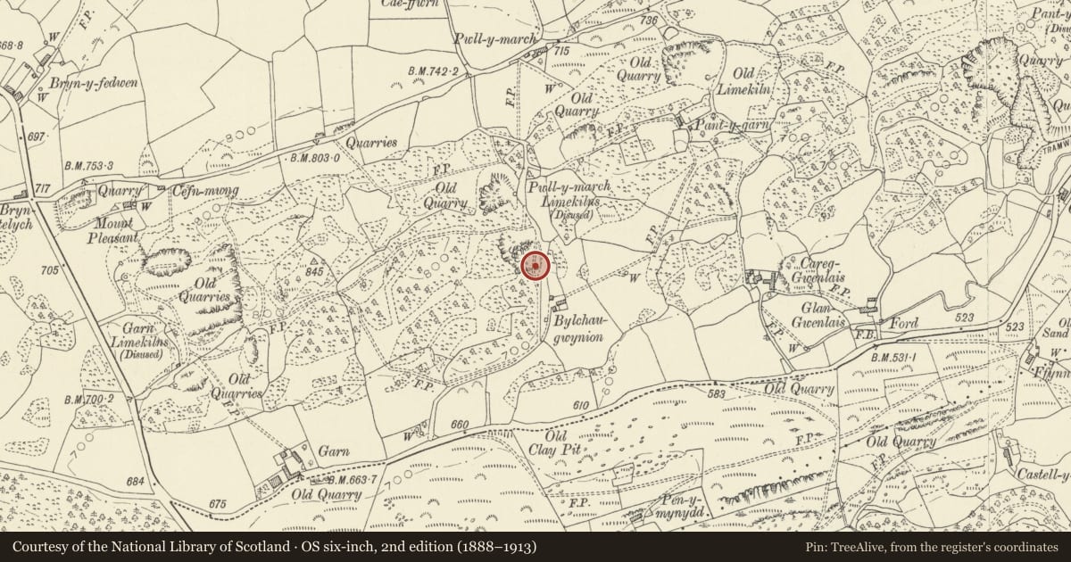 Ordnance Survey six-inch map, 2nd edition (1888–1913) covering the location of Bwlchau Limekiln, Llanfihangel Aberbythych, Carmarthenshire, with a pin at the register's coordinates