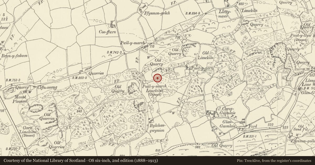 Ordnance Survey six-inch map, 2nd edition (1888–1913) covering the location of Pant-y-garn Limekiln No. I (to west), Llanfihangel Aberbythych, Carmarthenshire, with a pin at the register's coordinates