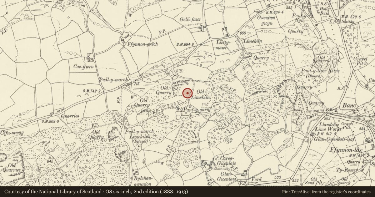 Ordnance Survey six-inch map, 2nd edition (1888–1913) covering the location of Pant-y-garn Limekiln No. II (to east), Llanfihangel Aberbythych, Carmarthenshire, with a pin at the register's coordinates