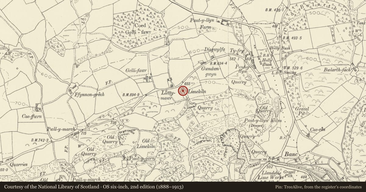Ordnance Survey six-inch map, 2nd edition (1888–1913) covering the location of Lletty-mawr Limekiln, Llanfihangel Aberbythych, Carmarthenshire, with a pin at the register's coordinates