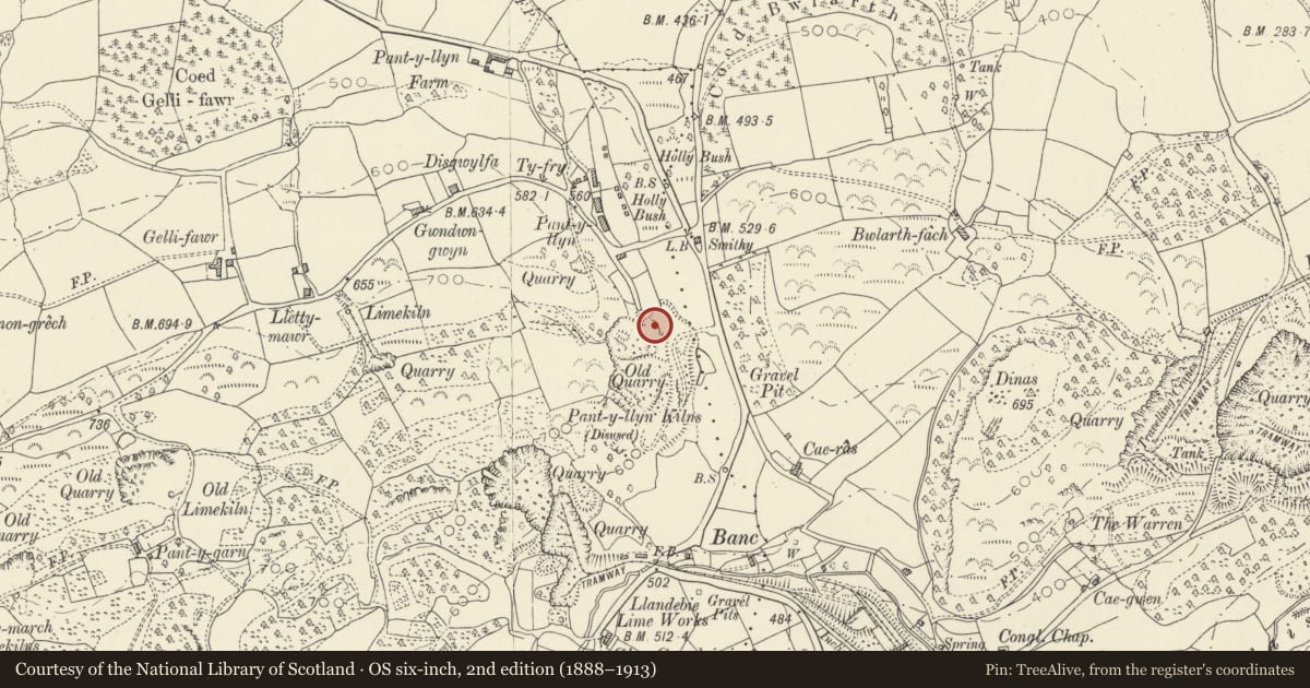 Ordnance Survey six-inch map, 2nd edition (1888–1913) covering the location of Pant-y-llyn Limekilns, Llanfihangel Aberbythych, Carmarthenshire, with a pin at the register's coordinates