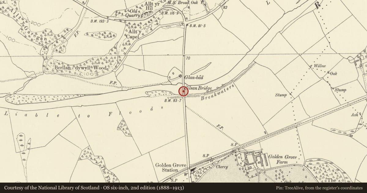 Ordnance Survey six-inch map, 2nd edition (1888–1913) covering the location of Cilsan Bridge, Llanfihangel Aberbythych, Carmarthenshire, with a pin at the register's coordinates
