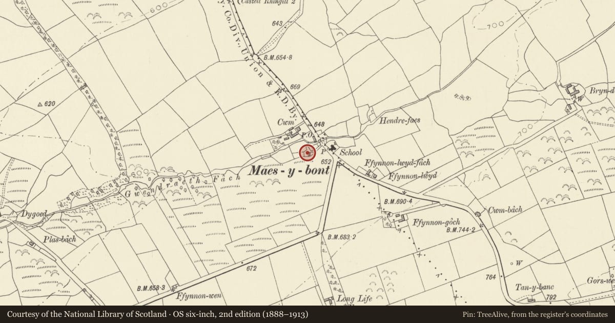 Ordnance Survey six-inch map, 2nd edition (1888–1913) covering the location of Ivy House, Llanfihangel Aberbythych, Carmarthenshire, with a pin at the register's coordinates