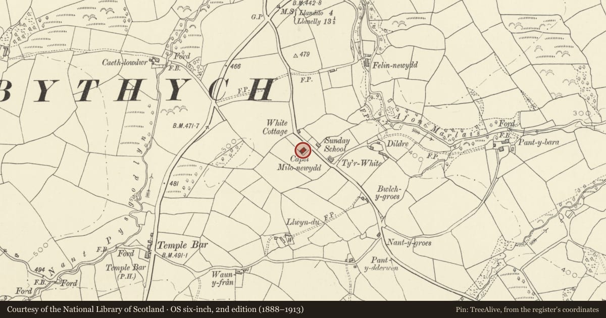 Ordnance Survey six-inch map, 2nd edition (1888–1913) covering the location of Capel Milo, Llanfihangel Aberbythych, Carmarthenshire, with a pin at the register's coordinates
