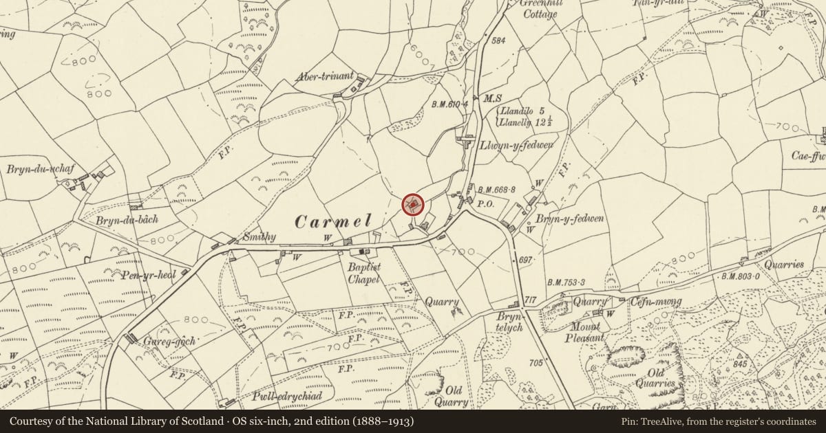 Ordnance Survey six-inch map, 2nd edition (1888–1913) covering the location of Bantwen, Llanfihangel Aberbythych, Carmarthenshire, with a pin at the register's coordinates