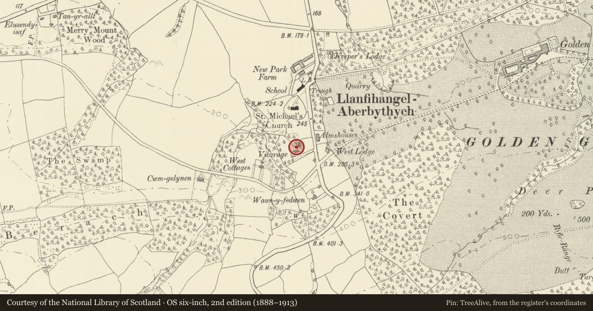Ordnance Survey six-inch map, 2nd edition (1888–1913) covering the location of Awelaur (former Vicarage) Servants' Latrine, Llanfihangel Aberbythych, Carmarthenshire, with a pin at the register's coordinates